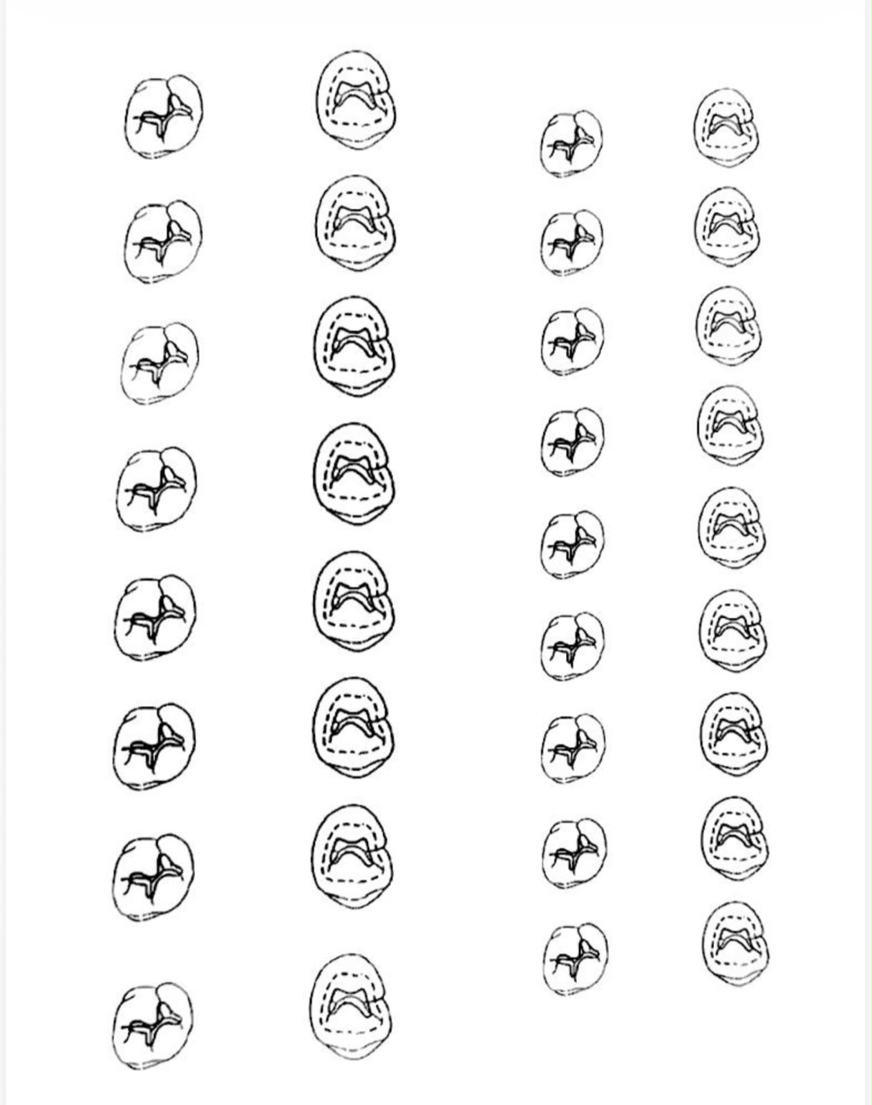 Exemple de contenu du carnet 4